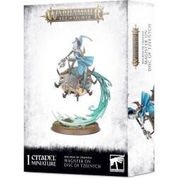 Magister en Disc of Tzeentch